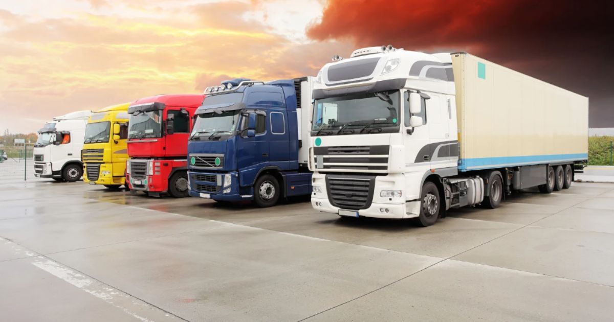 What is a Transport Management System a Guide for Logistics